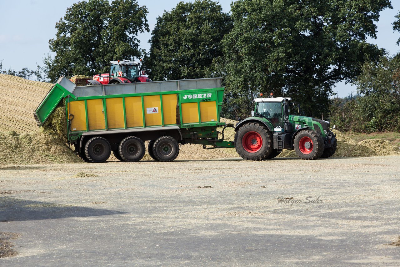 Bild 39 - Maisernte
